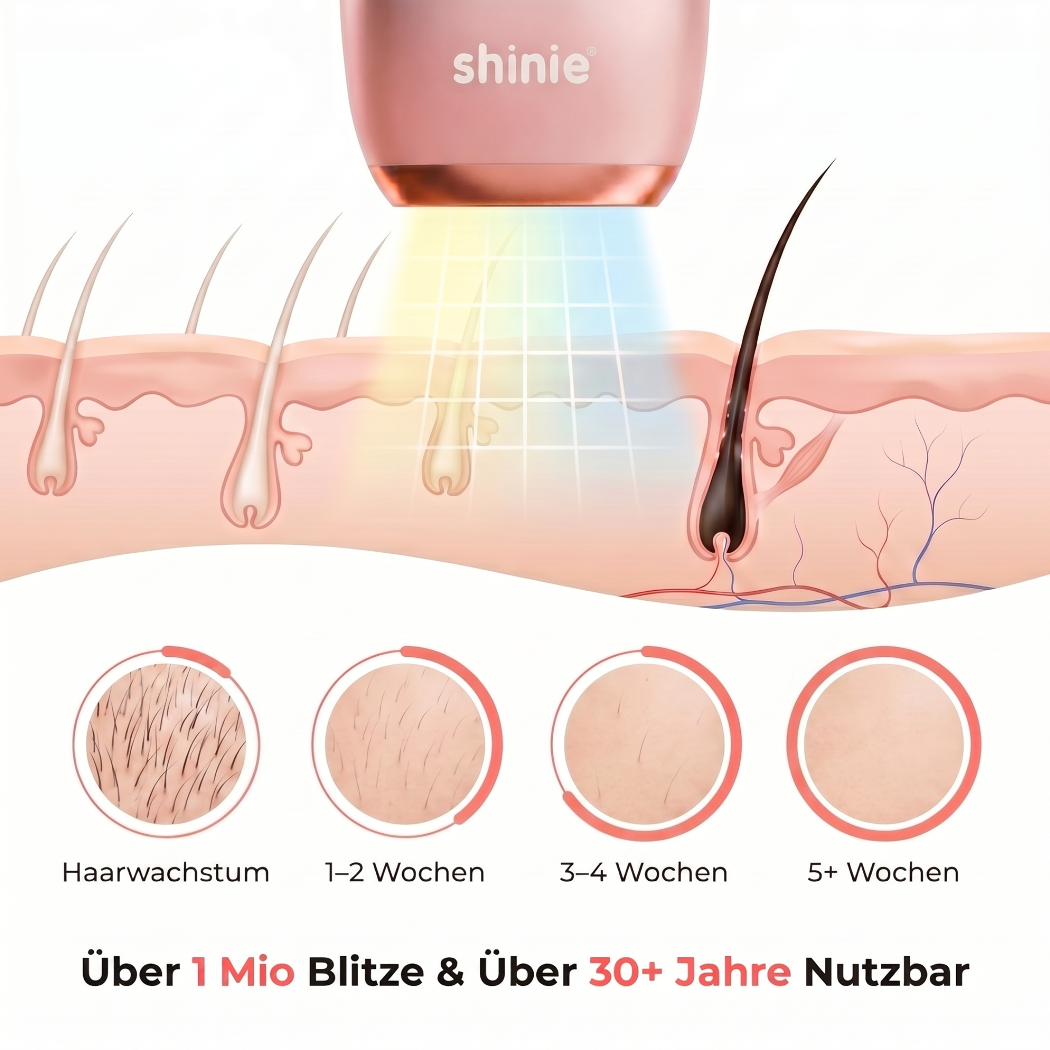 Premium Haarfrei Bundle